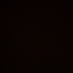 Meet your Posher, Mackenzie